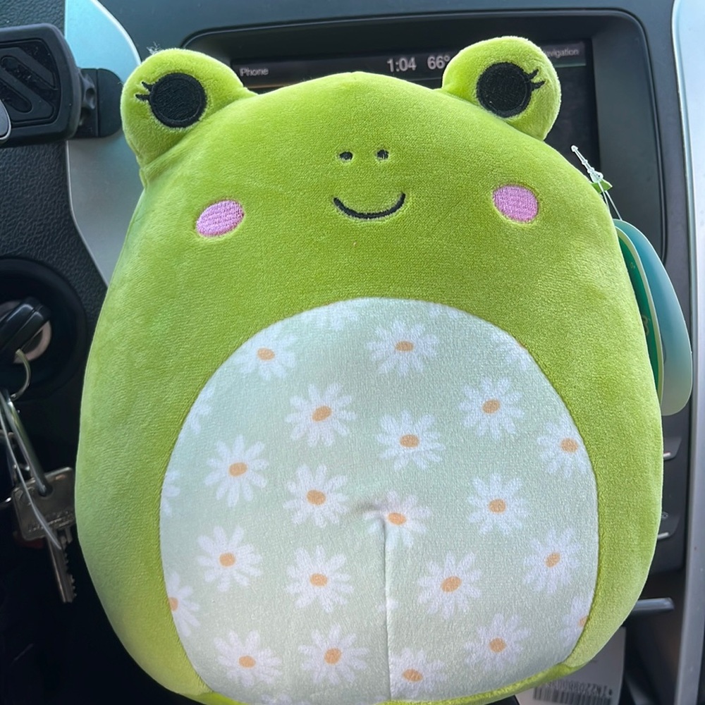 Wendy floral squishmallow!!